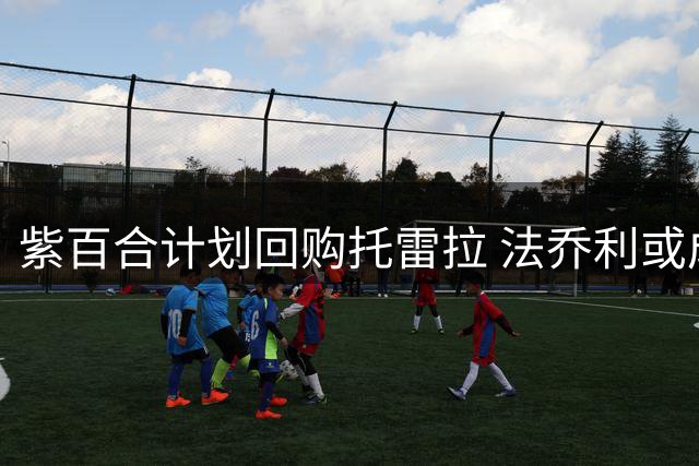 紫百合计划回购托雷拉 法乔利或成离队人选